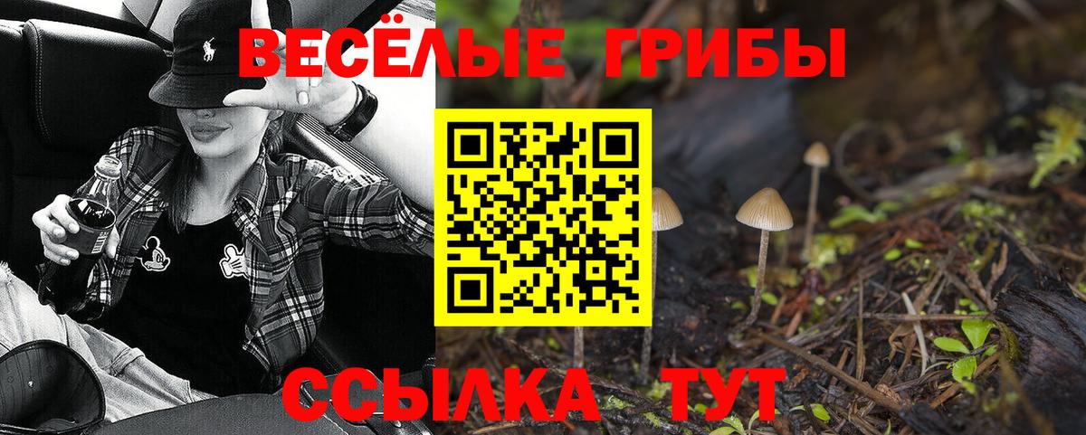 Галлюциногенные грибы ЛСД  Вход с VPN  Ноябрьск 