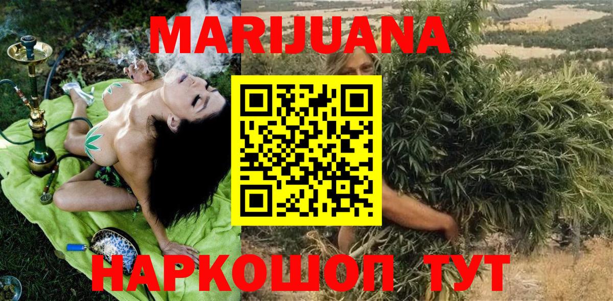 Бошки Шишки гибрид Ноябрьск
